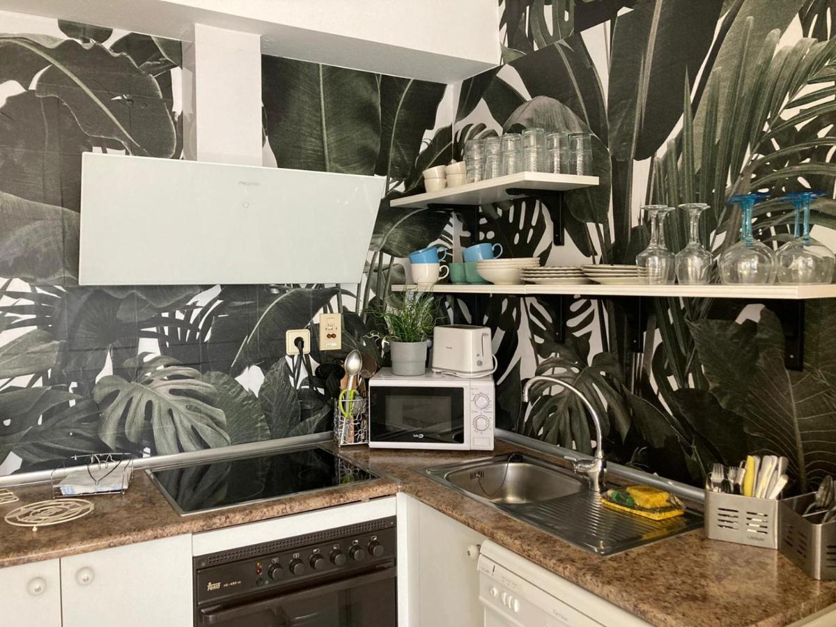 Apartamento Alba 哈卡 外观 照片